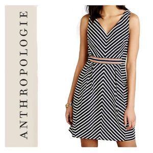 Anthropologie Blue and White Fit and Flare Mini Dress